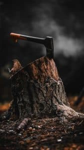 5 Unbelievable Stump Grinding Hacks You Need To Know! | Eliminate Tree Stumps For Good