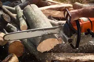 Negotiate Like a Pro Save on Stump Grinding
