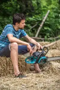 Stump Removal Rent a Grinder or Hire a Pro